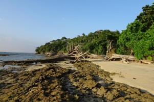 Unfogettable Andaman